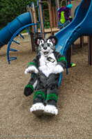 End Of Slide 