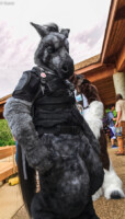 For Battle 