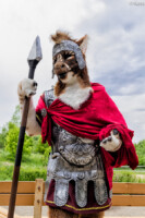 Give Me Your Troops 