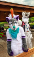 Honorary Unicorn 