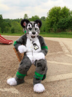 Sit And Supervise 