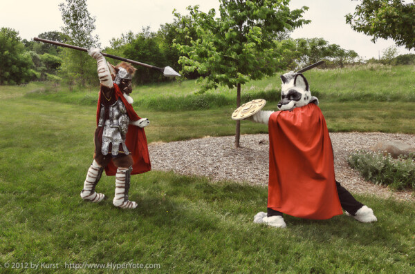 Sword, Sheild, Camera