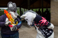 Unicorn Power 