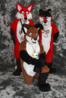 Three Foxes 