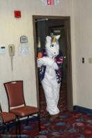 Enter A Unicorn 