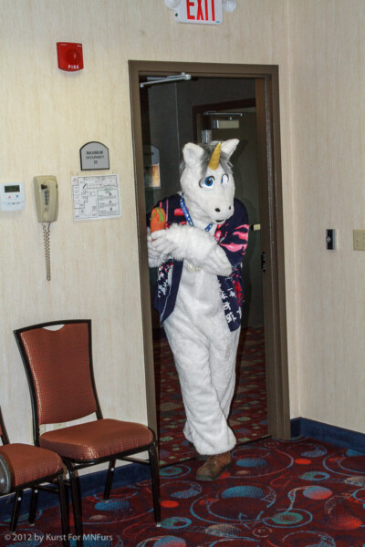 Enter A Unicorn