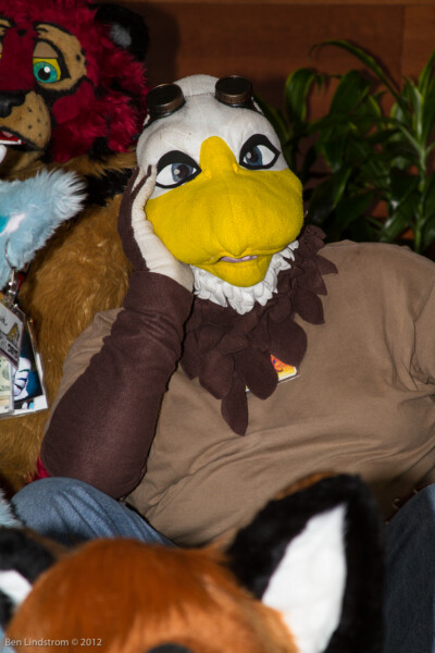 No other Avians around…