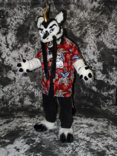 cat-days-photoshoot-1