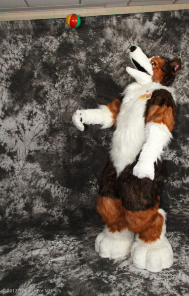 cat-days-photoshoot-100
