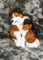 cat-days-photoshoot-102 