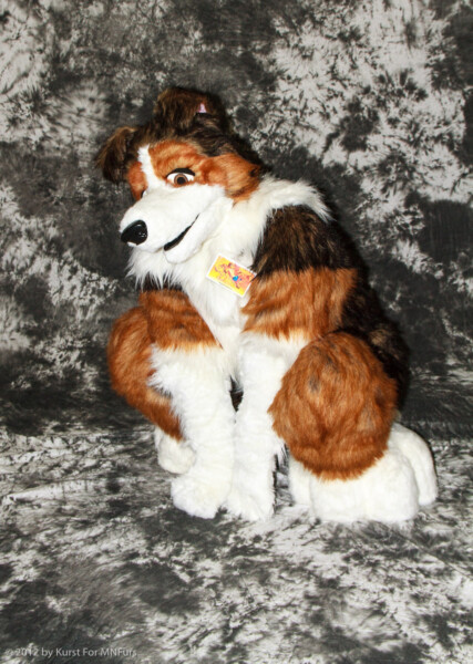 cat-days-photoshoot-102
