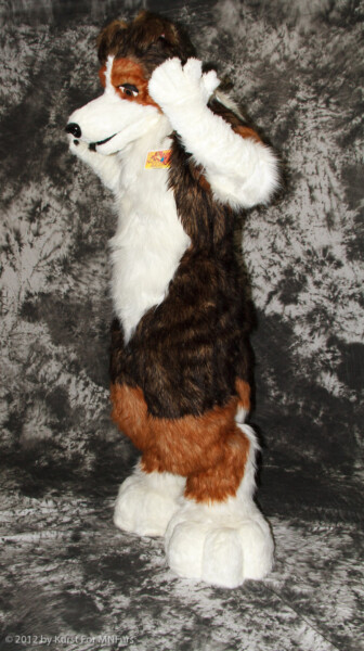 cat-days-photoshoot-104