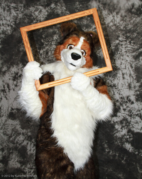 cat-days-photoshoot-106