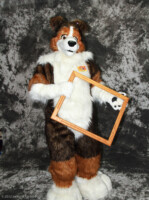 cat-days-photoshoot-108 