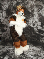 cat-days-photoshoot-110 
