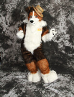 cat-days-photoshoot-111 