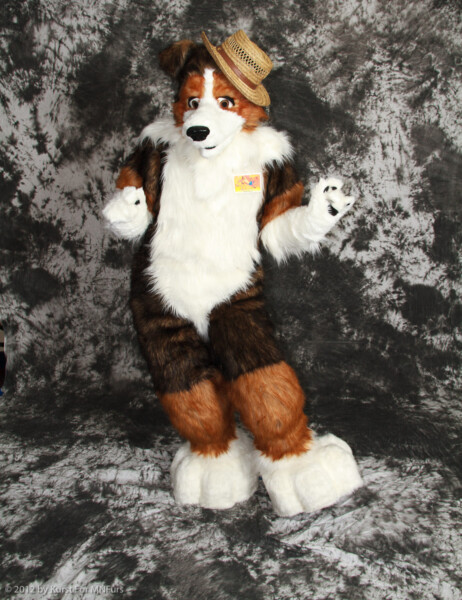 cat-days-photoshoot-111
