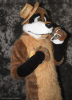 cat-days-photoshoot-113 