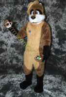 cat-days-photoshoot-121 