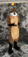 cat-days-photoshoot-124 