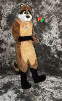 cat-days-photoshoot-126 