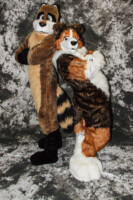 cat-days-photoshoot-129 