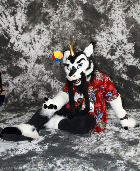 cat-days-photoshoot-13