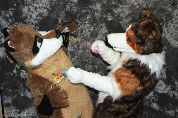 cat-days-photoshoot-132