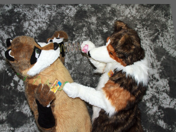 cat-days-photoshoot-133