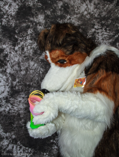 cat-days-photoshoot-134