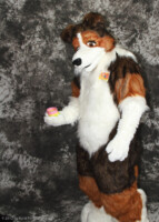 cat-days-photoshoot-135 