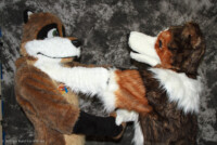 cat-days-photoshoot-136 