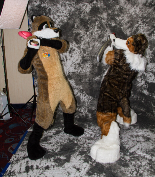 cat-days-photoshoot-137