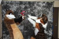 cat-days-photoshoot-138 