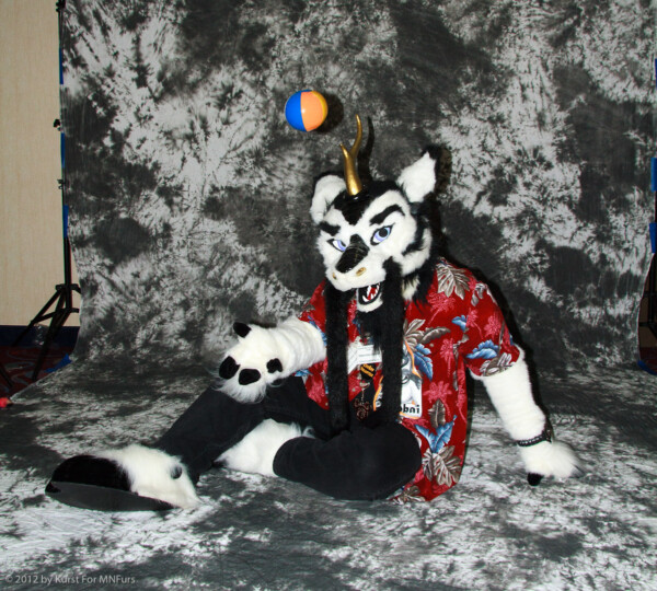 cat-days-photoshoot-14