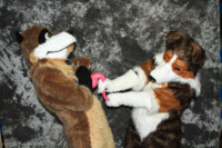 cat-days-photoshoot-142 