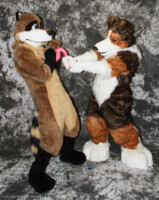 cat-days-photoshoot-143 