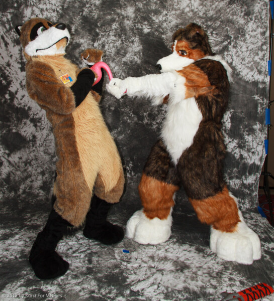 cat-days-photoshoot-144