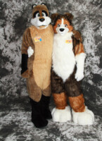 cat-days-photoshoot-145 