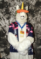 cat-days-photoshoot-149 
