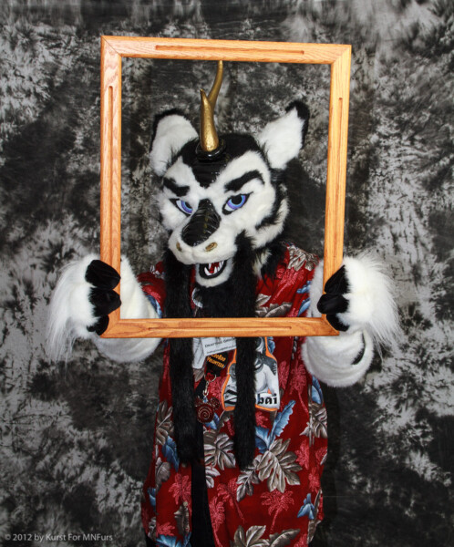 cat-days-photoshoot-15