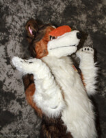 cat-days-photoshoot-155 