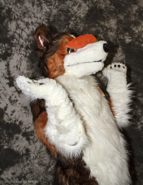 cat-days-photoshoot-155