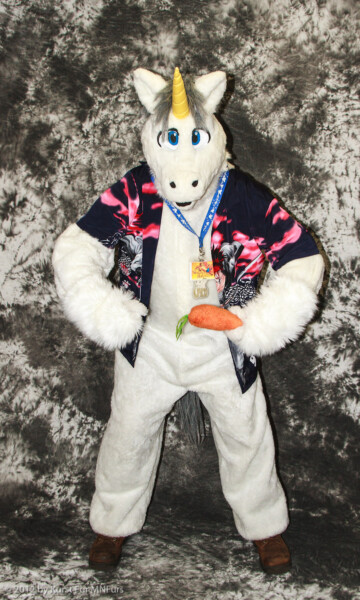 cat-days-photoshoot-158