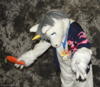 cat-days-photoshoot-163 