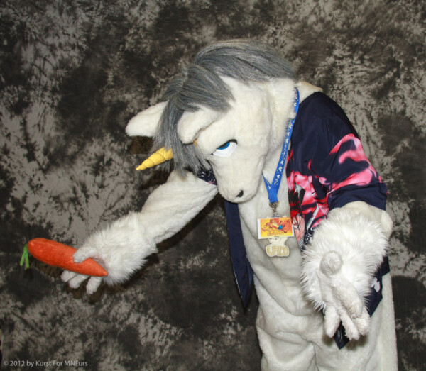 cat-days-photoshoot-163