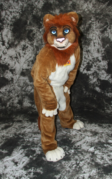 cat-days-photoshoot-167