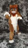 cat-days-photoshoot-168 