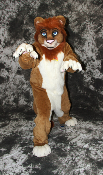 cat-days-photoshoot-168