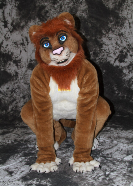cat-days-photoshoot-170